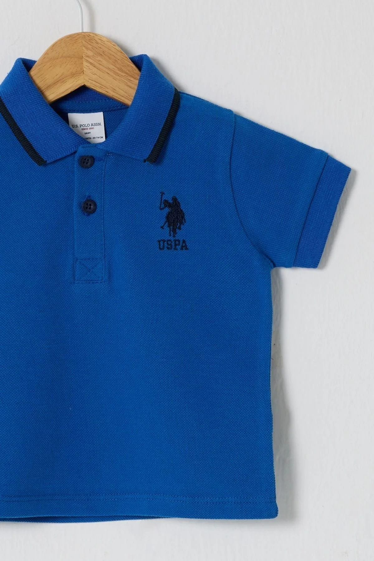 T-SHIRT BOY COBALT - Image 2